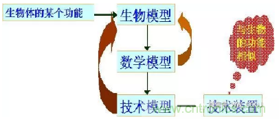 仿生傳感器的定義、原理、分類及應(yīng)用